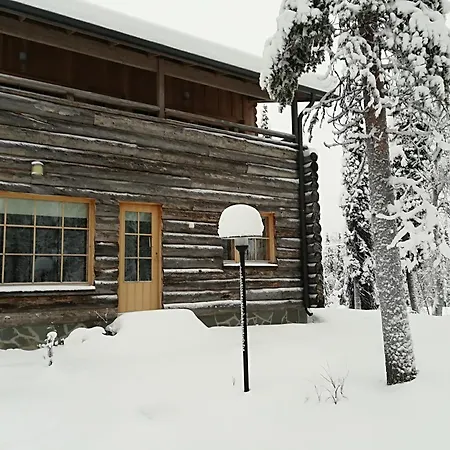Aarni * Luosto