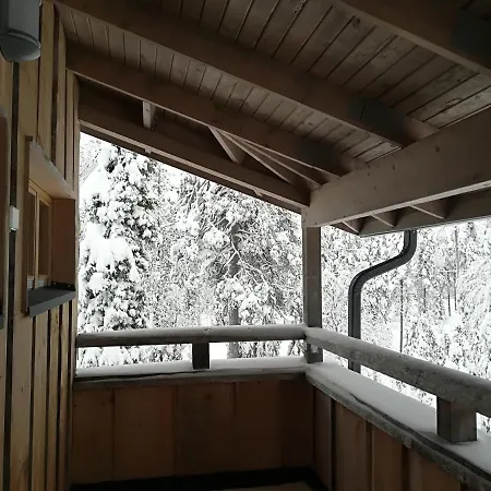 Aarni Holiday home
