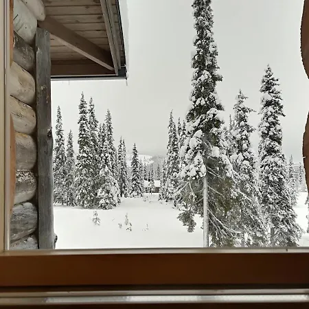 Aarni Holiday home